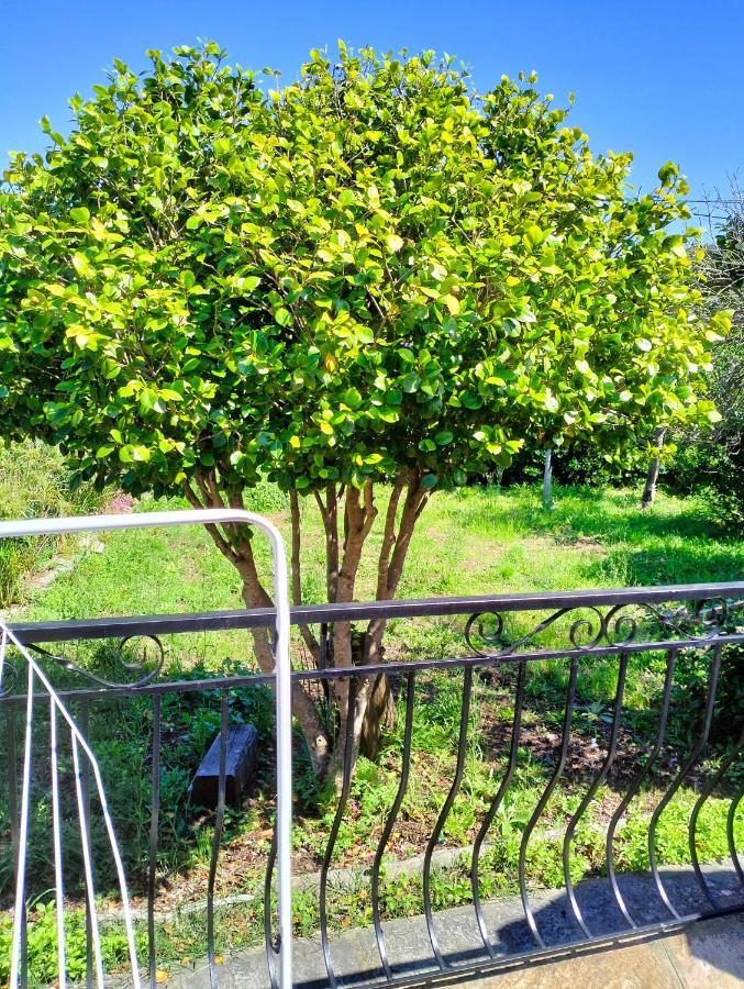 Villa Maison Individuelle Padulella *